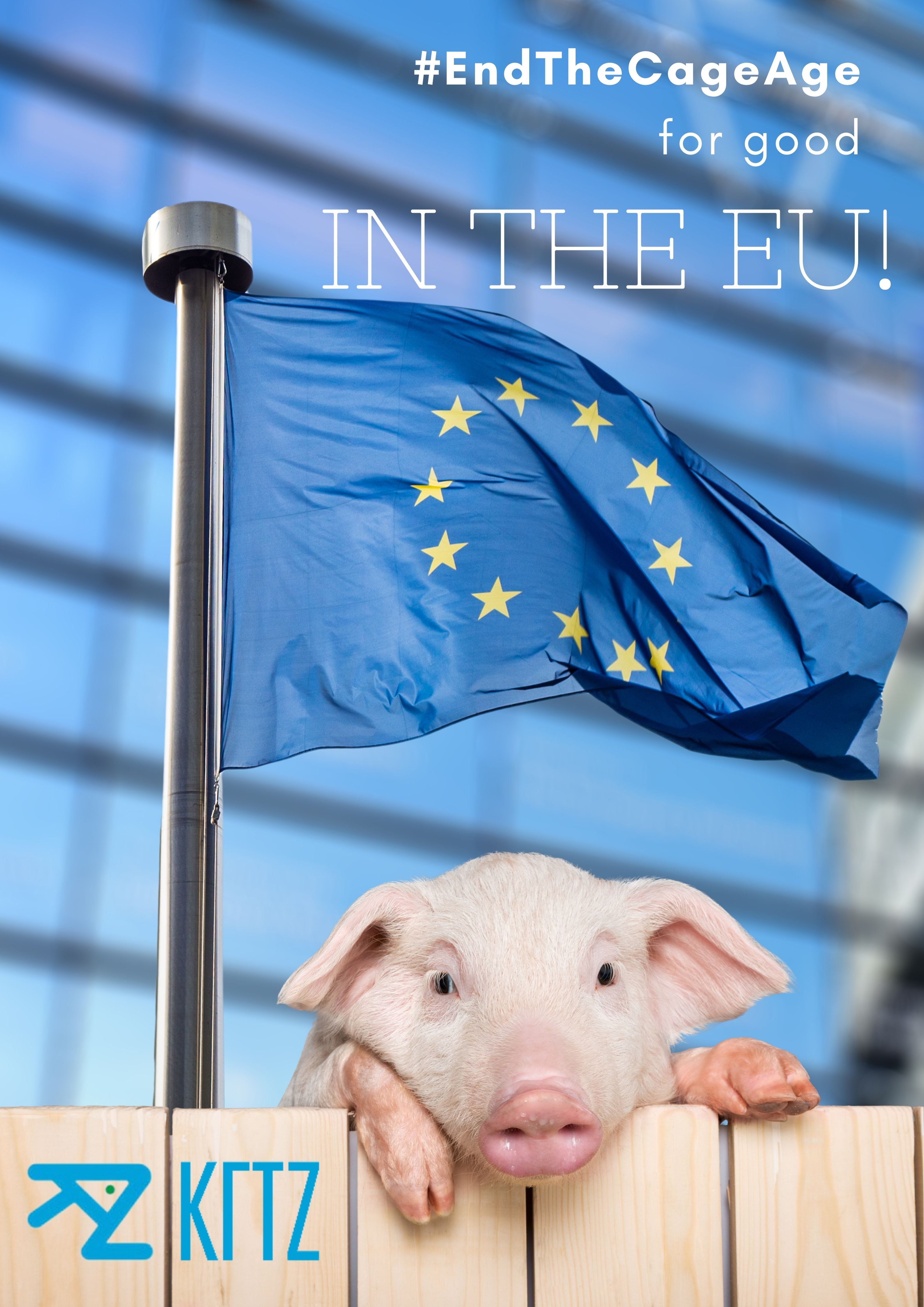 Μετά την σαρωτική έγκριση από το Ευρωπαϊκό Κοινοβούλιο, να γίνει πράξη το τέλος της εκτροφής ζώων σε κλουβιά στην ΕΕ