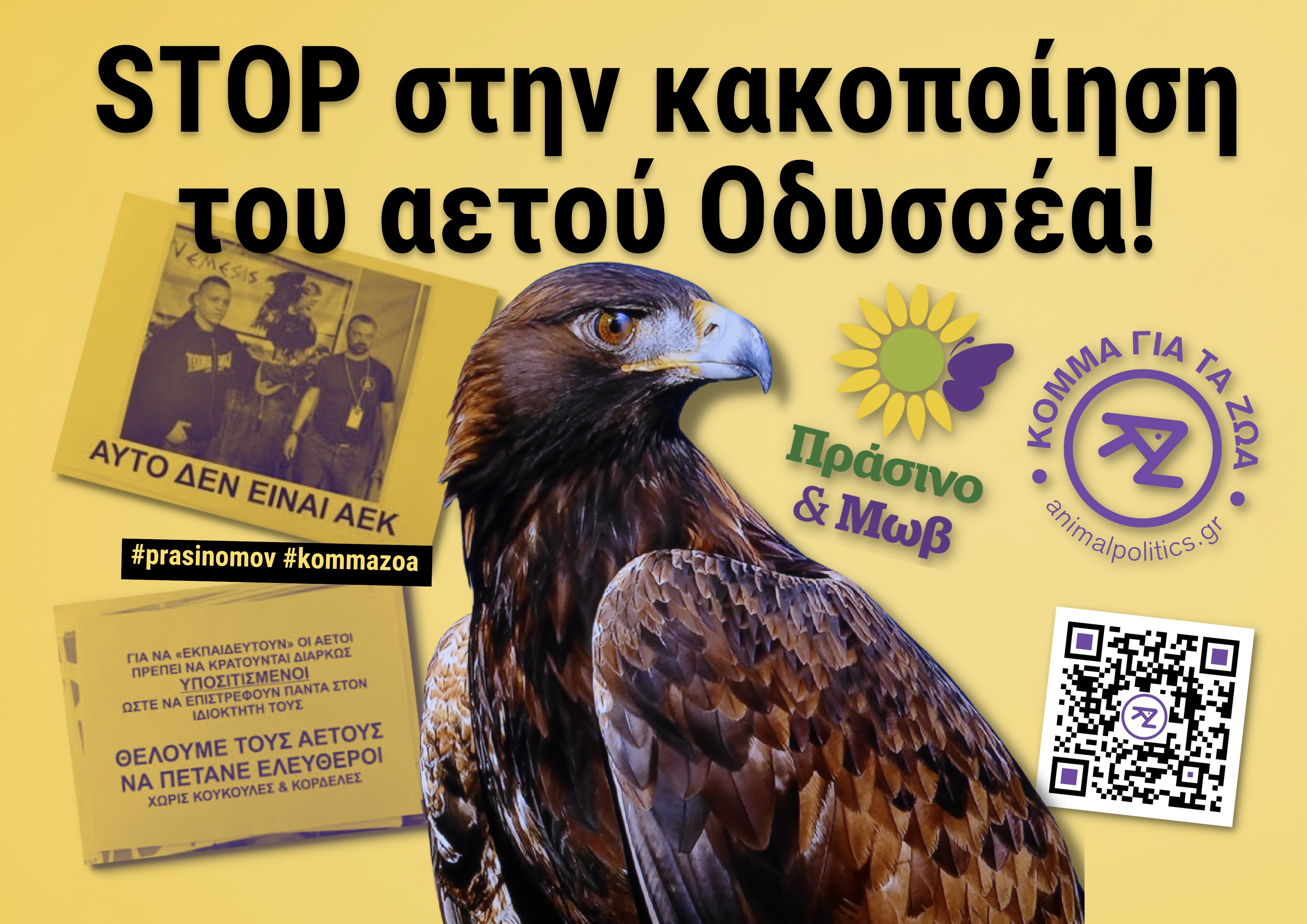 STOP στην κακοποίηση του αετού Οδυσσέα από την ΠΑΕ ΑΕΚ