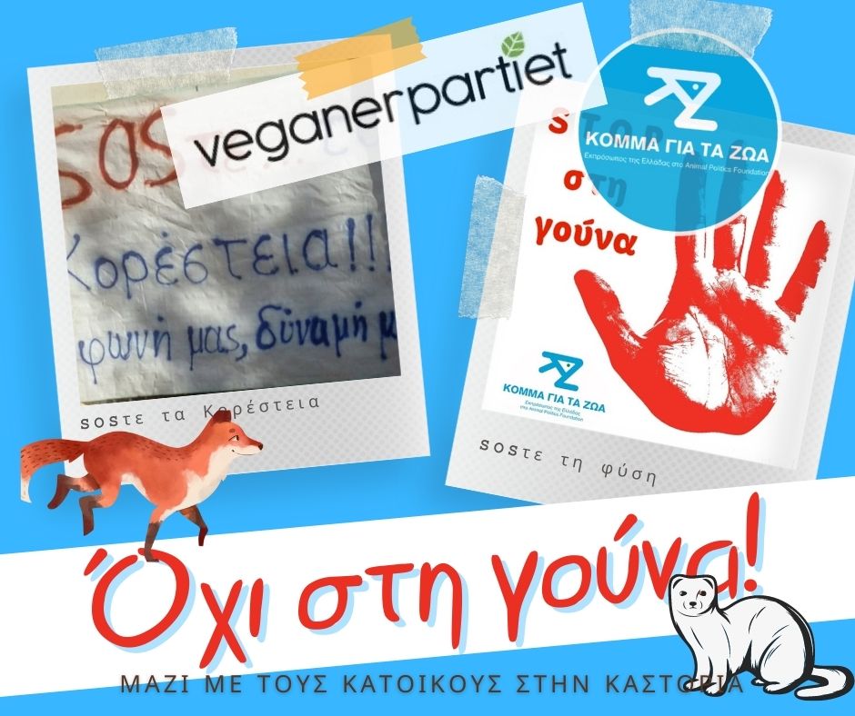 Το Κόμμα για τα Ζώα από την Ελλάδα και το Veganerpartiet από τη Δανία ενώνουν τη φωνή τους με εκείνη των κατοίκων της Καστοριάς, για μια οικονομία χωρίς γούνα