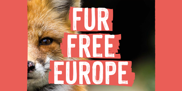 Επ’ ευκαιρία της Fur Free Europe Day το Κόμμα για τα Ζώα αναρωτιέται: Η ΕΛΛΑΔΑ ΑΝΑΜΕΣΑ ΣΤΙΣ ΛΙΓΕΣ ΧΩΡΕΣ ΠΟΥ ΔΕΝ ΚΑΤΑΡΓΟΥΝ ΤΗ ΓΟΥΝΟΠΟΙΙΑ. ΩΣ ΠΟΤΕ;