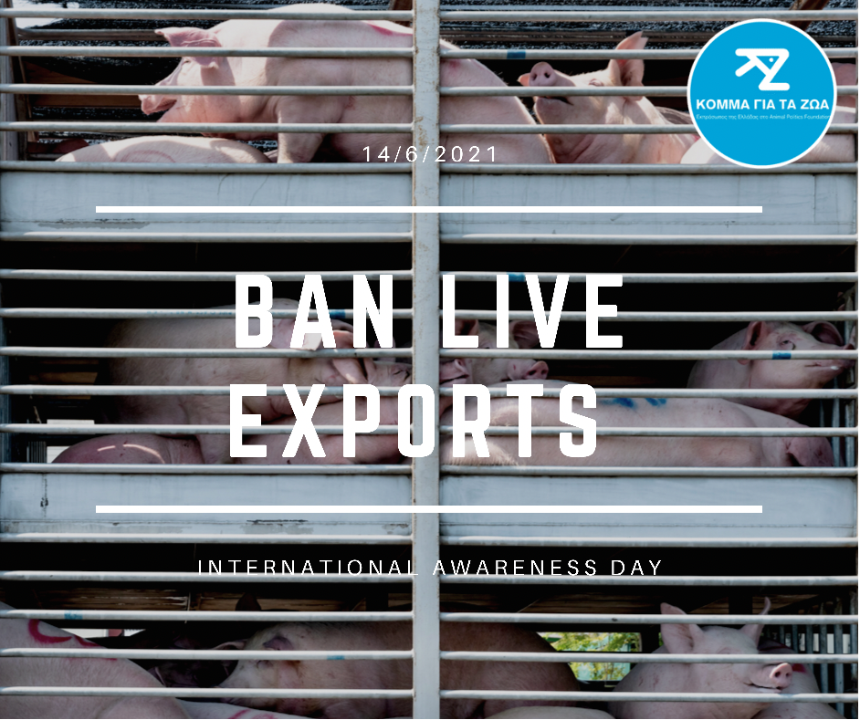 Μήνυμα για την 14η Ιουνίου, Ημέρα Ευαισθητοποίησης Κατά της Μεταφοράς Ζώντων Ζώων