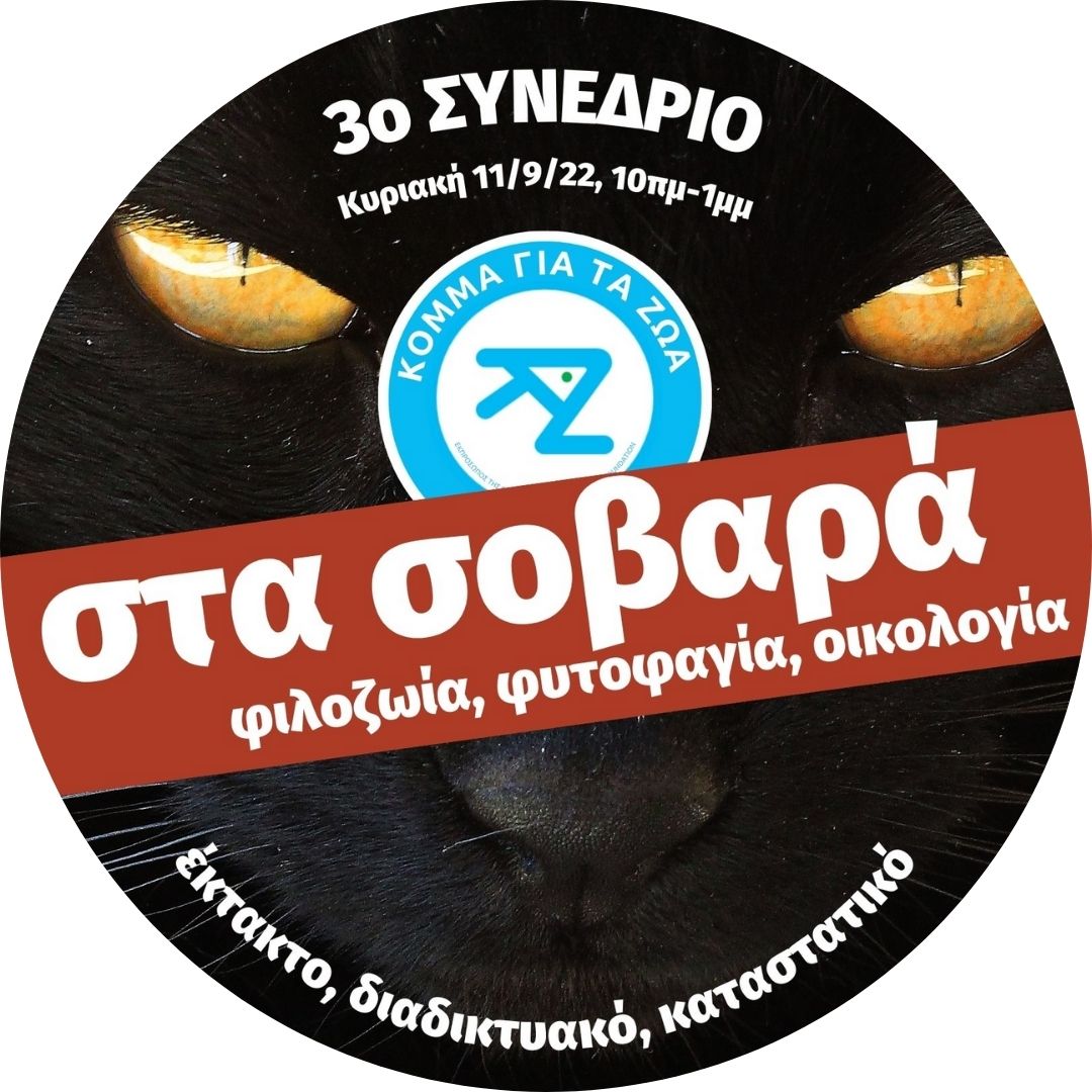 3o Έκτακτο, Διαδικτυακό, Καταστατικό Συνέδριο ΚΓΤΖ