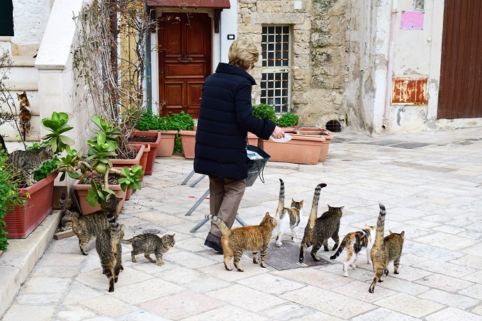 Να μη χάσουμε τη μάχη του κορωνοϊού για τα ζώα! 