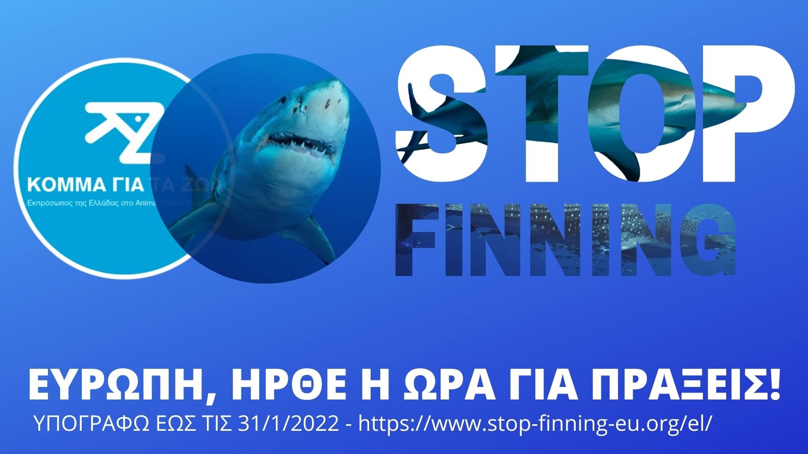 H πανευρωπαϊκή πρωτοβουλία για την απαγόρευση του εμπορίου πτερύγιων καρχαρία αποκτά δυναμική