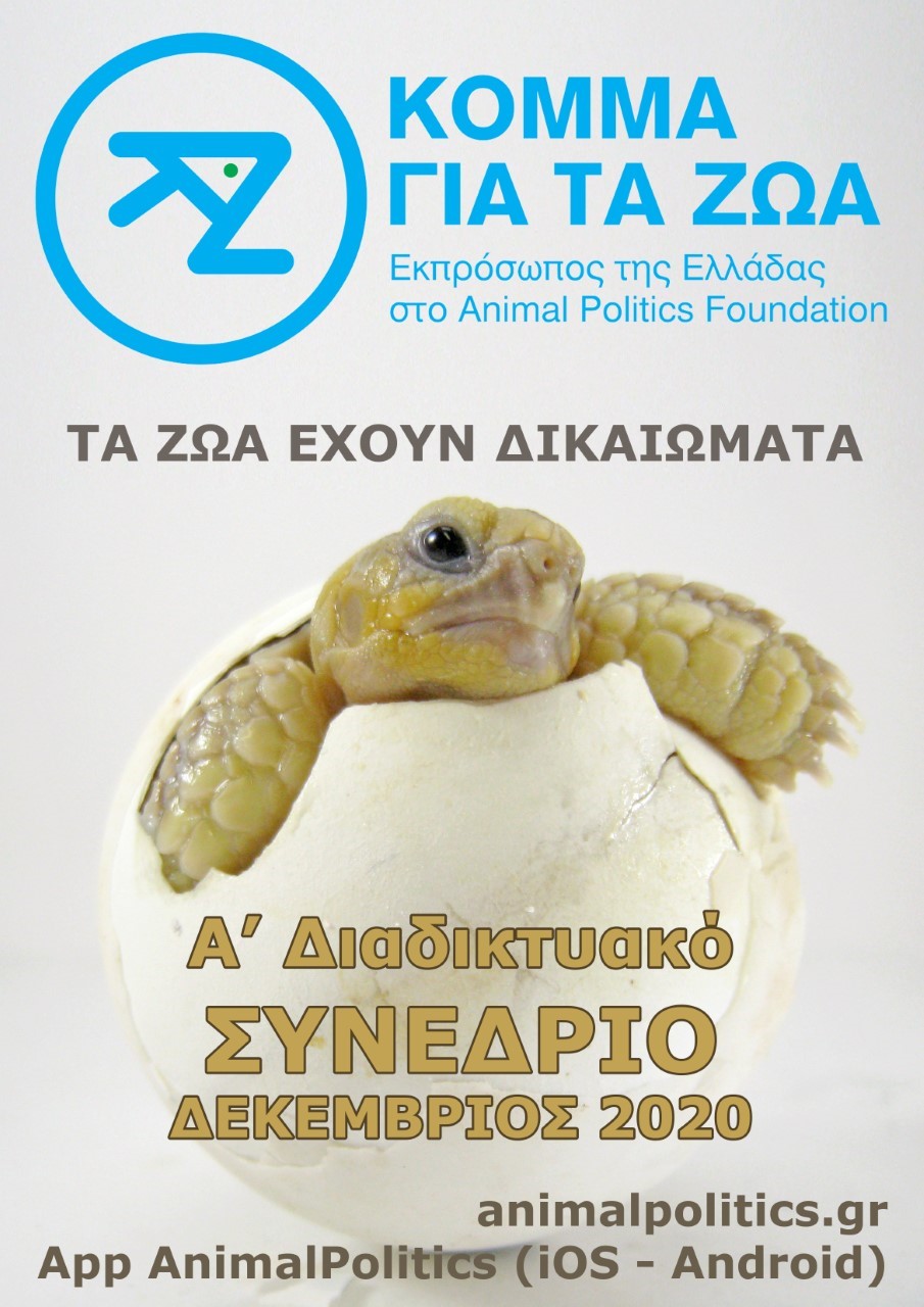 Το πρόγραμμα του Συνεδρίου μας! 