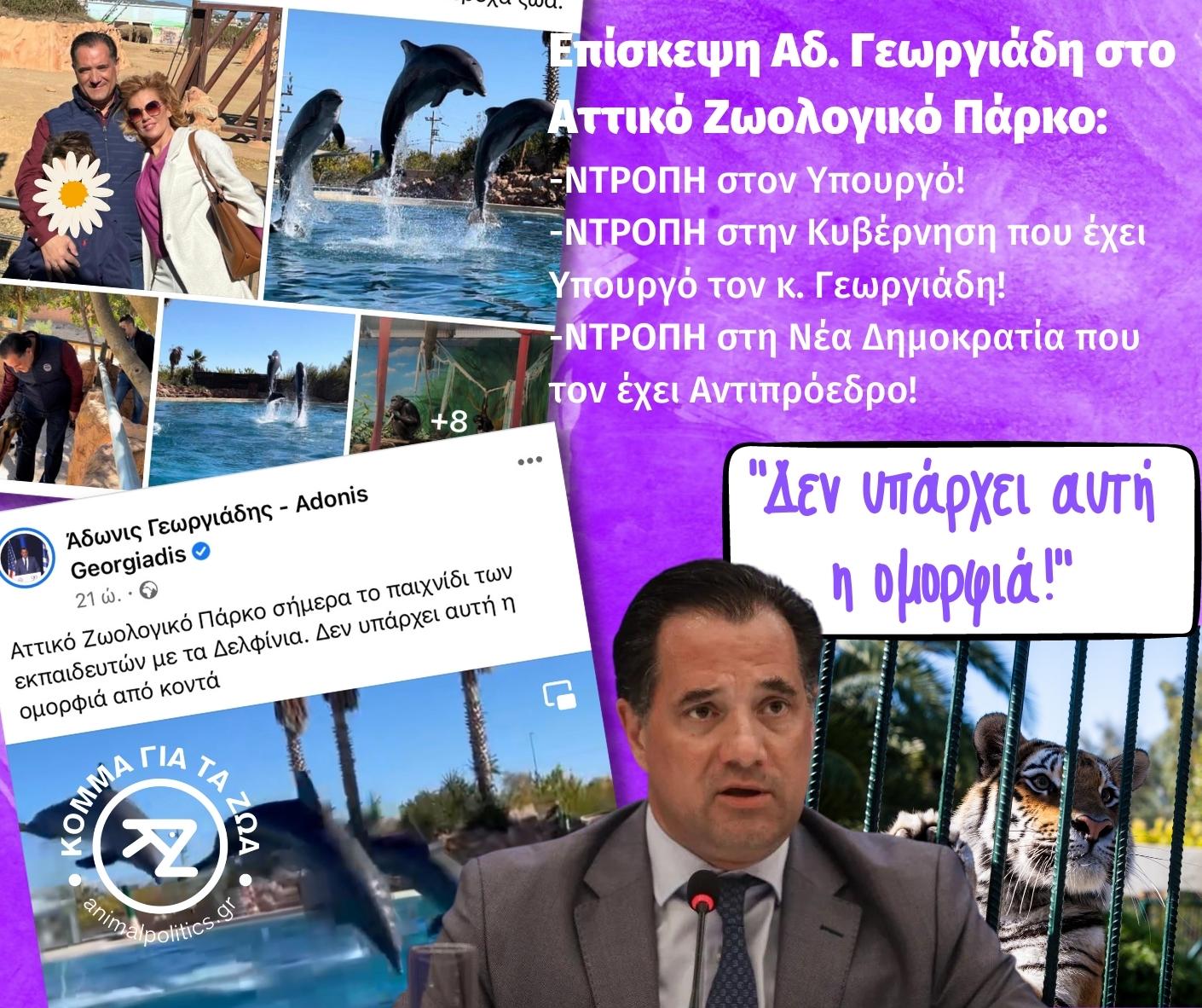 Λίγη ντροπή κ. Γεωργιάδη, όταν εξυμνείτε την κακοποίηση των ζώων