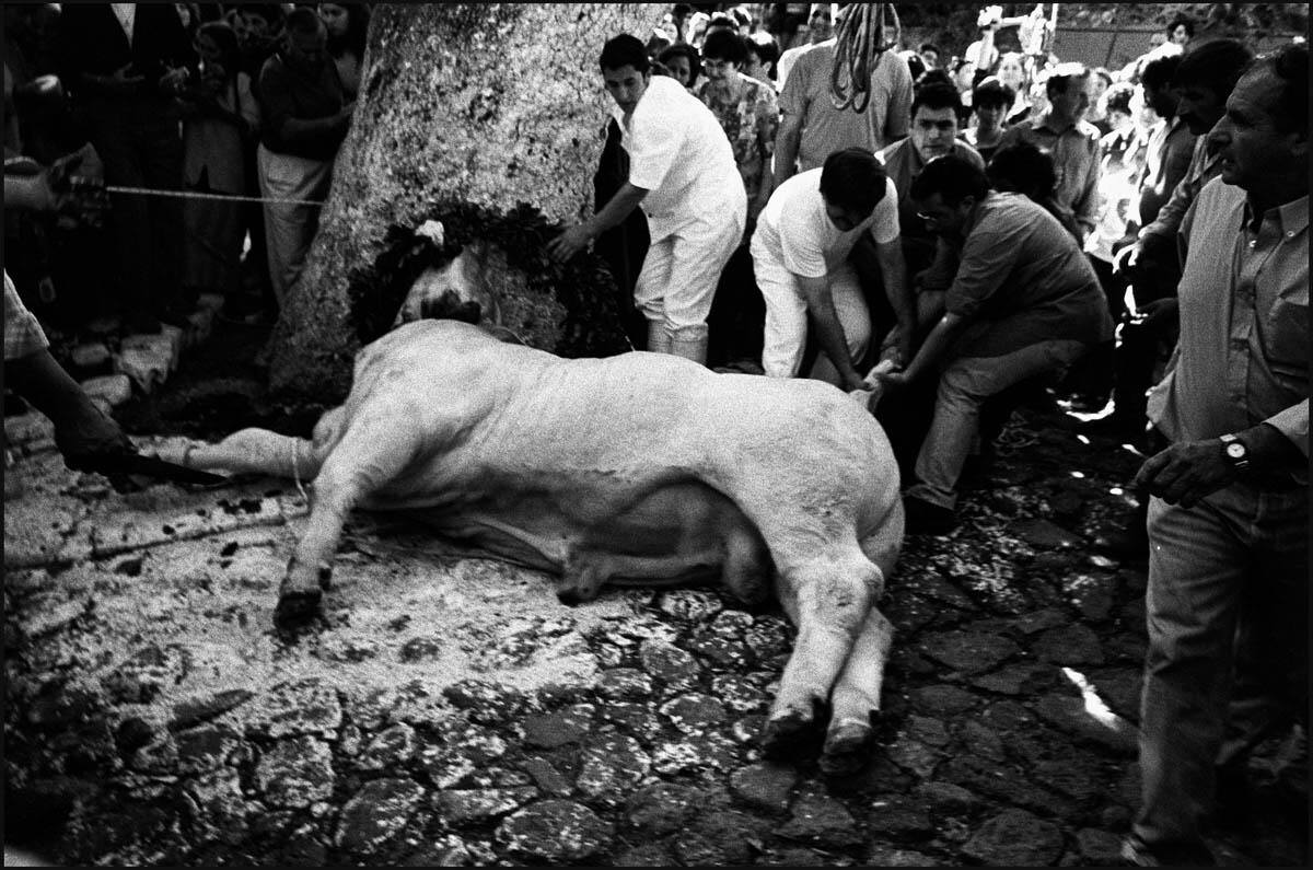 Όχι στη βαρβαρότητα και στην παρανομία στη Λέσβο