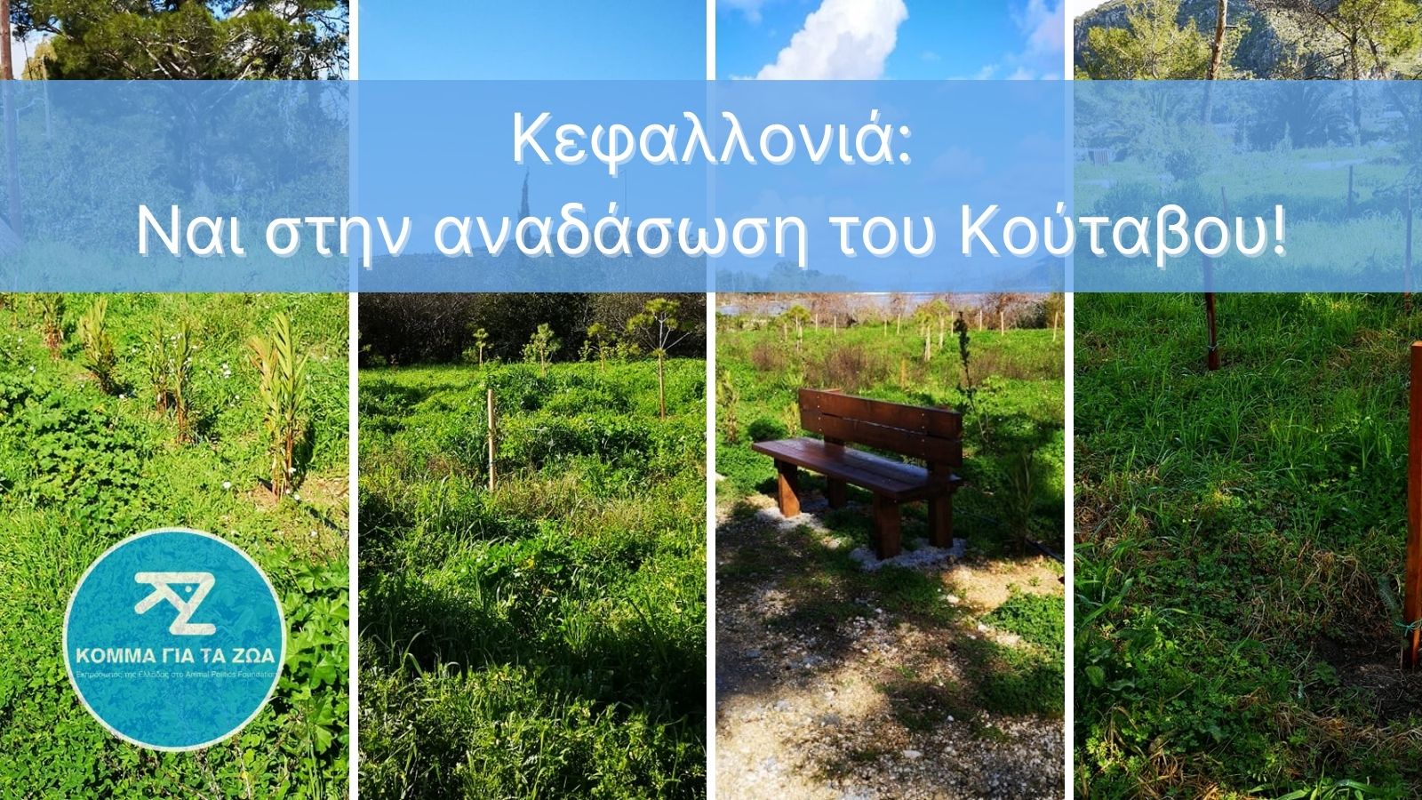 Κόμμα για τα Ζώα Νησιών Ιονίου: Ναι στην αναδάσωση του Αλσυλλίου του Κουτάβου